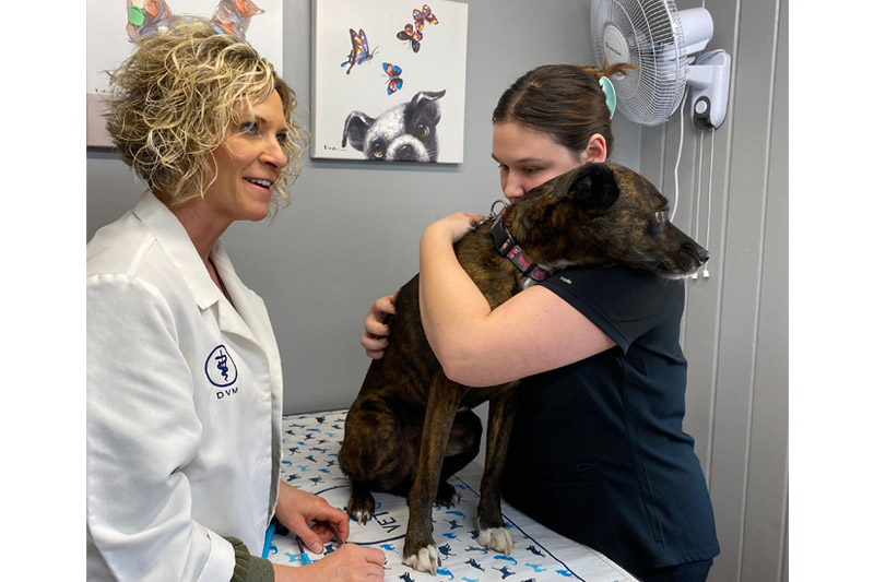 Veterinarian in Williamsfield