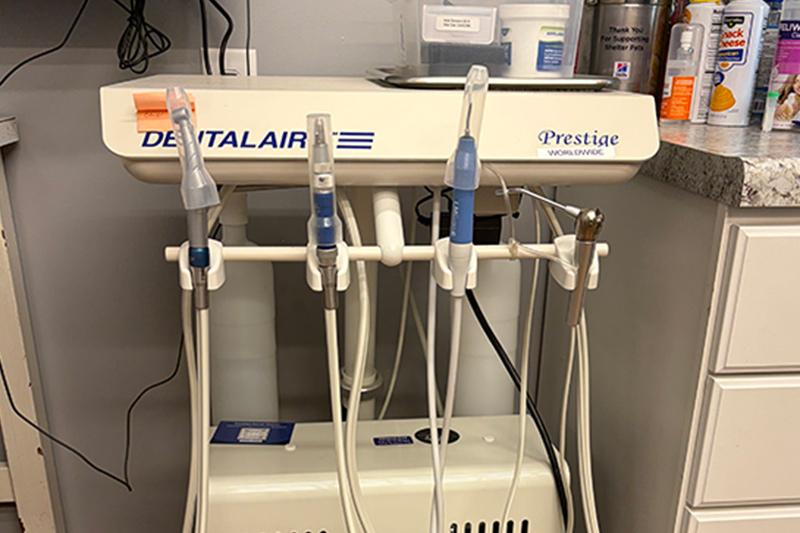 Pet Dental Cleanings in Williamsfield & Elmwood