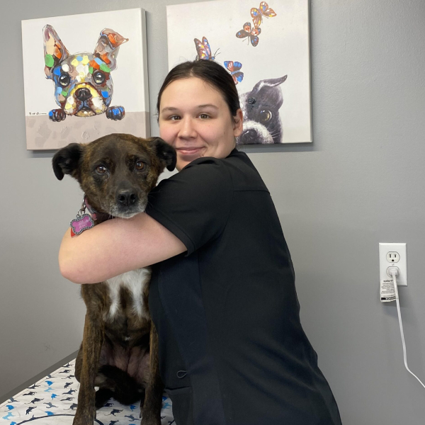 Veterinarian in 61529