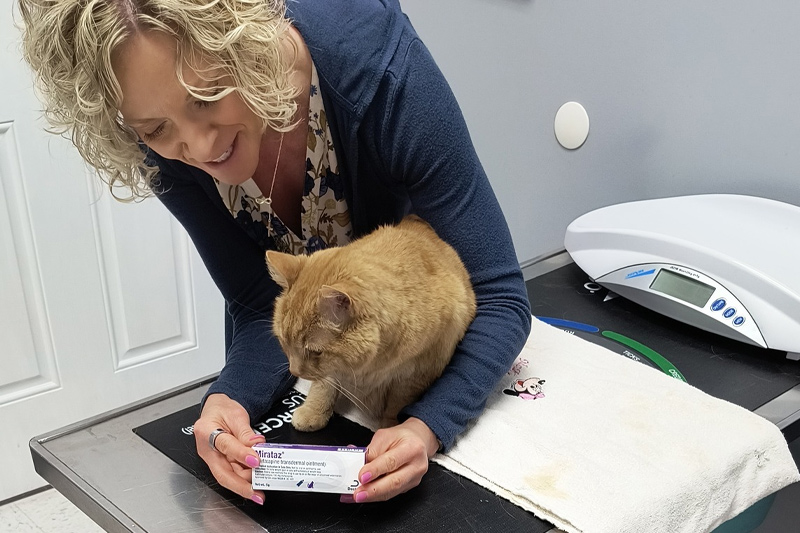 Pharmacy in Williamsfield & Elmwood