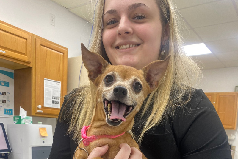 Surgery in Williamsfield & Elmwood