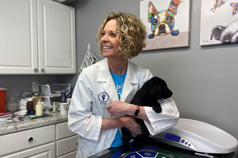 Vaccinations in Williamsfield & Elmwood