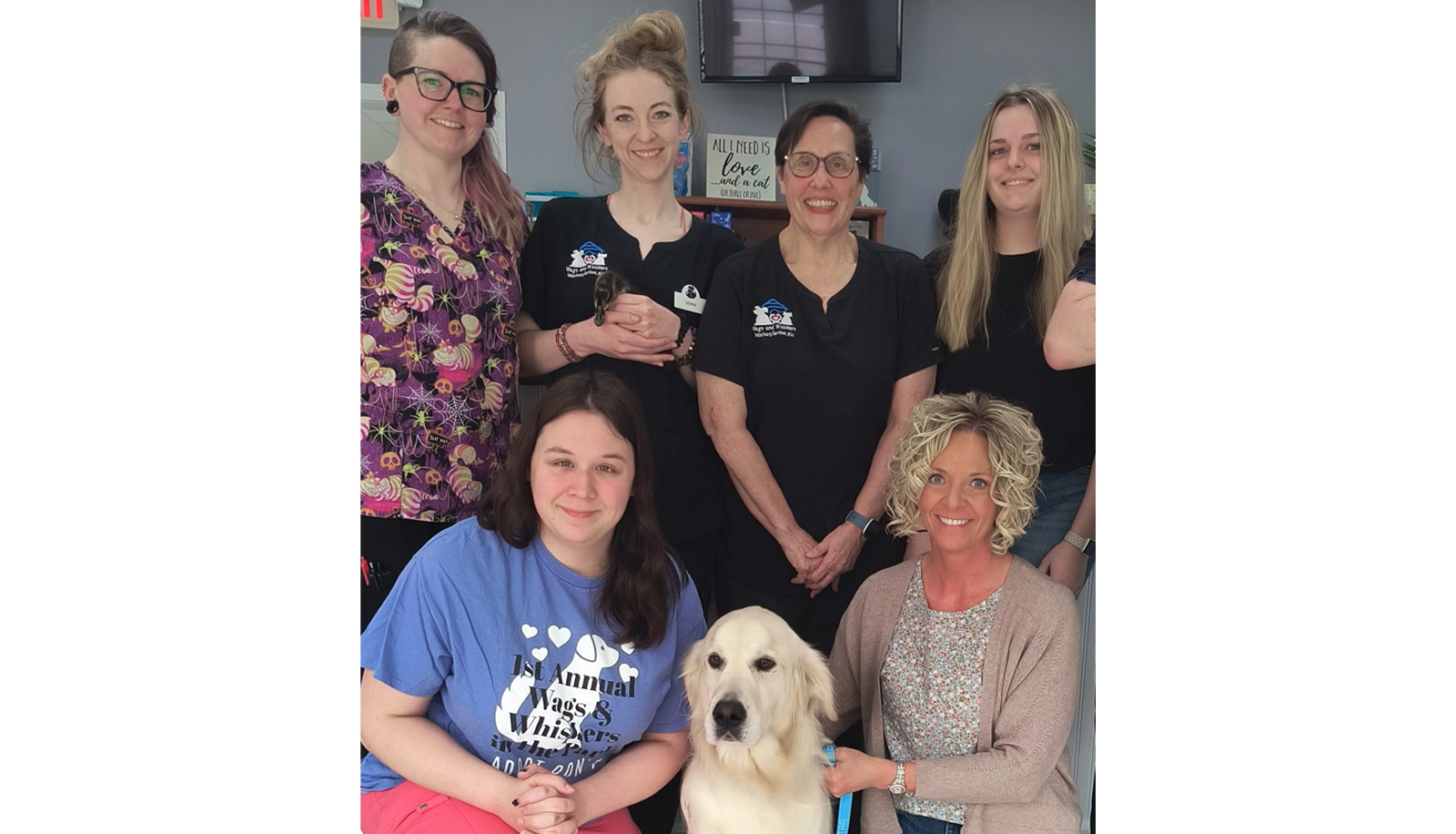 Veterinarian in Williamsfield & Elmwood